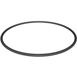 Kit 2 O-Ring Di Ricambio Per Filtro Hayward Star-Clear Plus CX900F E Altri Modelli - Guarnizioni Per Pompe E Filtri Piscina