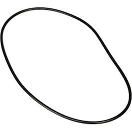 Jandy Pro Series Backplate O-Ring | Heritage Pool Plus