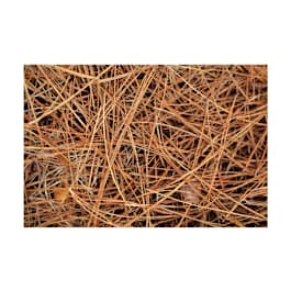 Pine Straw American 1 Bale | Heritage Plus