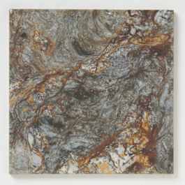 Pacific Barnacle Gray Oyster 11 Sf Cs/792 Plt 6