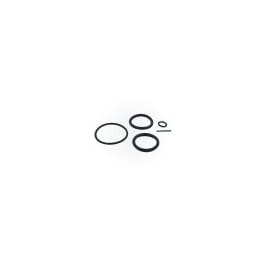 Pentair 273109 O-Ring Set – Antikorrosiv, Ersatz Für Schieber, Inkl. Slide