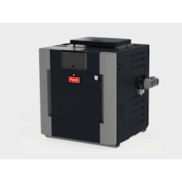 Raypak P-R406A-EN-X #52 Digital Natural Gas Heater, 360K BTU, Cupro ...