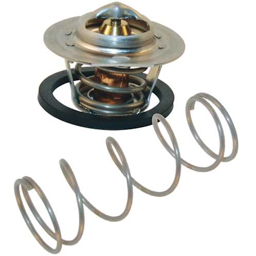 Raypak Unitherm Governor Kit | 062234B | Heritage Pool Plus