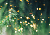 Christmas Pre-Lit Trees