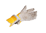 Gloves Gloves