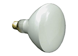 Lamps & Light Bulbs