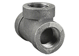 Steel & Iron Fittings