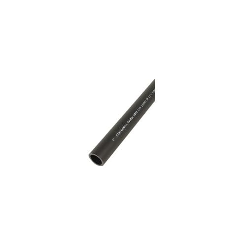 DRPT00500250