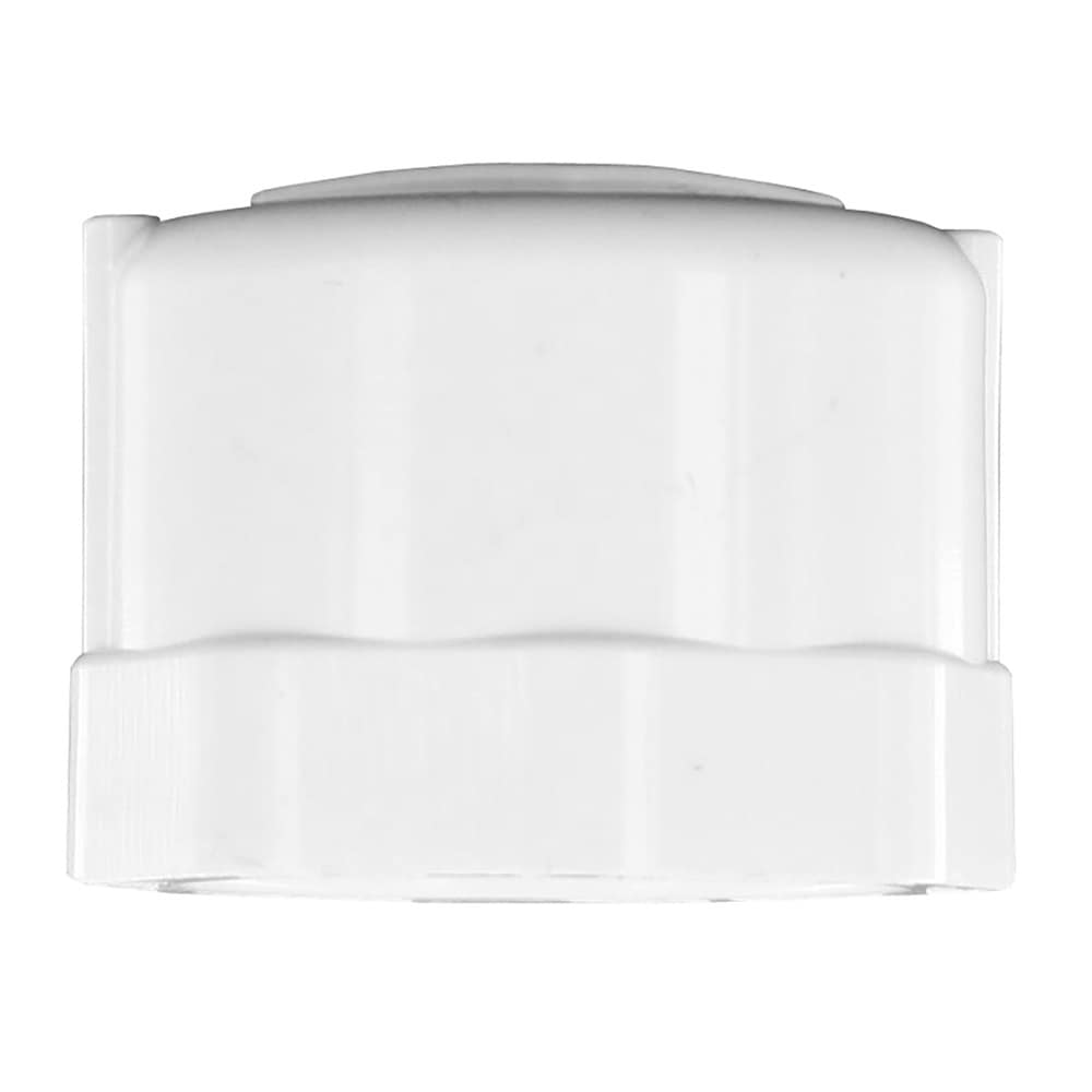 Cap, FPT White PVC Schedule 40