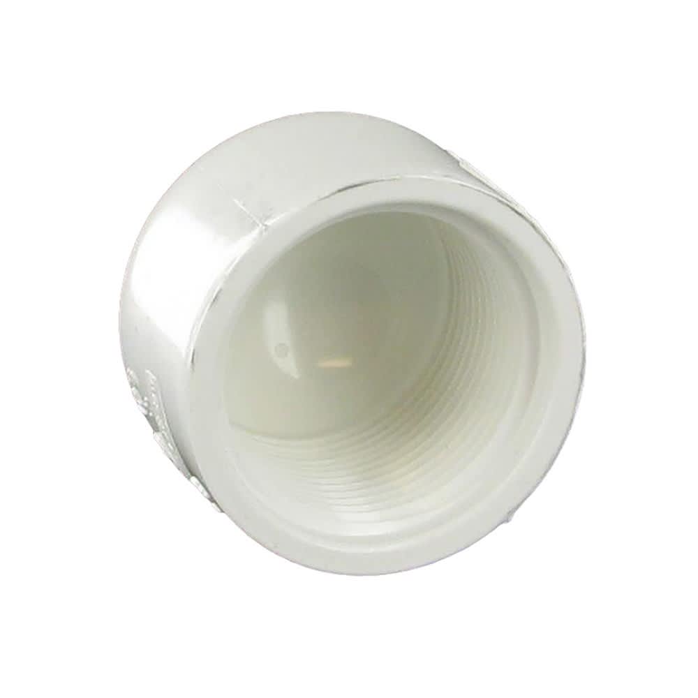 Cap, FPT White PVC Schedule 40