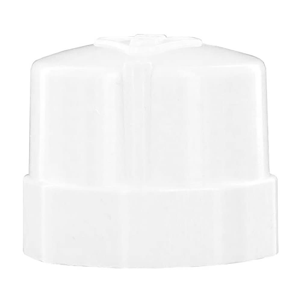 Cap, FPT White PVC Schedule 40