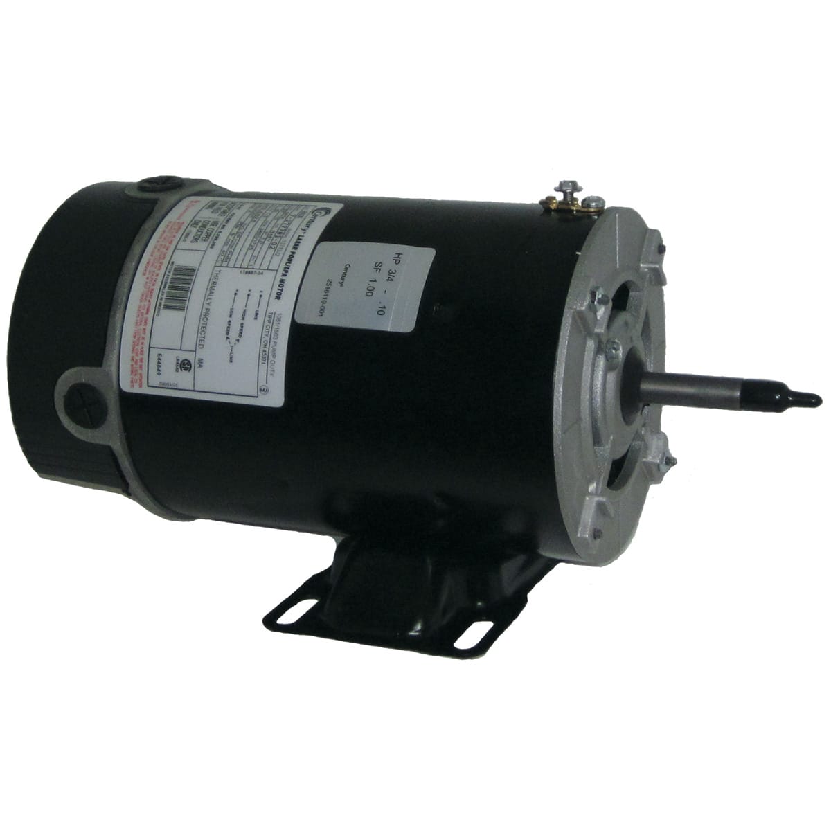 Century Pool Pump Motor 3/4HP 2-Speed 115V 48Y Frame | BN36 image 5