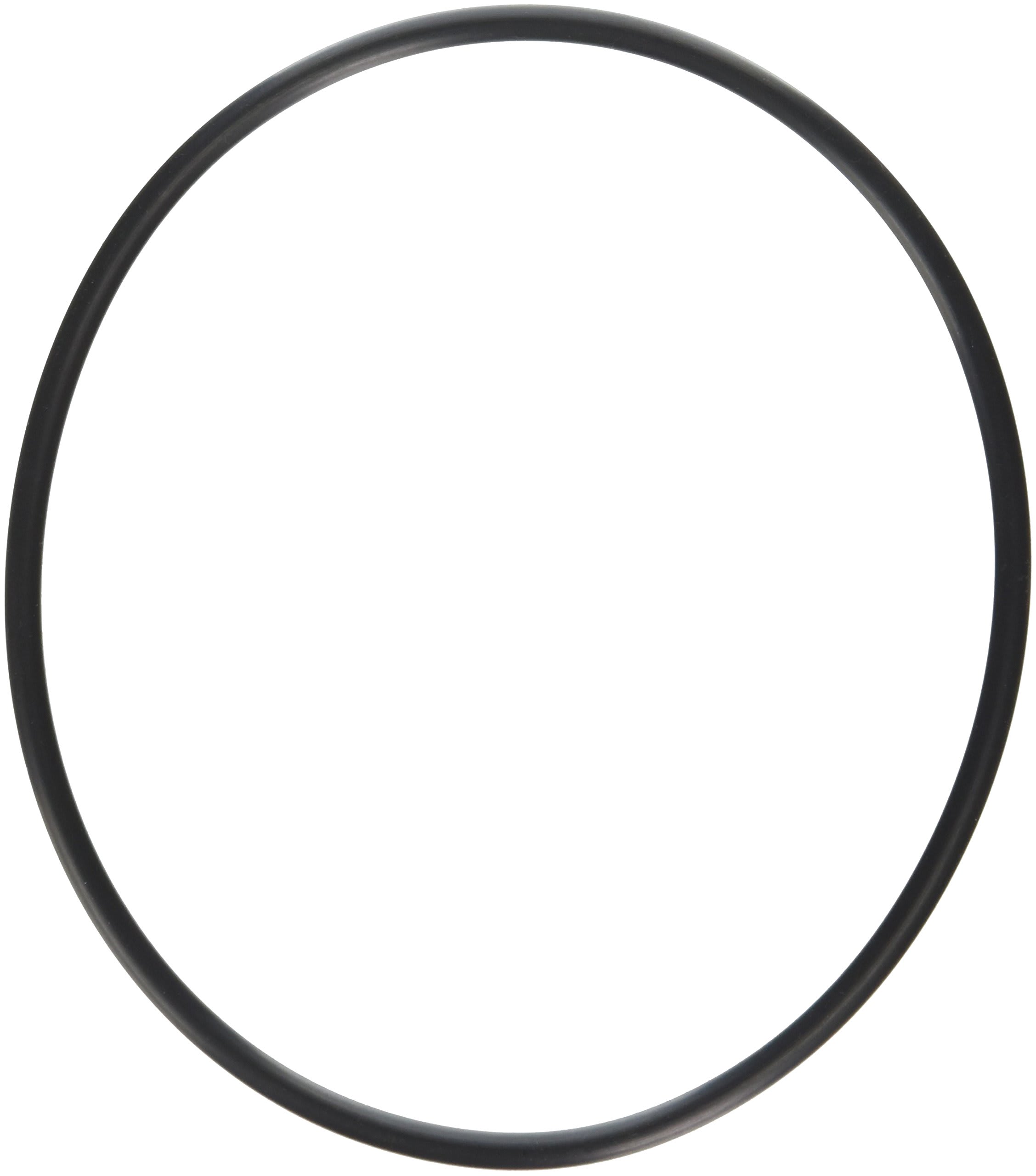 Hayward O-Ring | SPX0704F