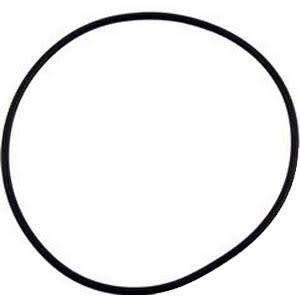 Hayward Cover O-Ring  