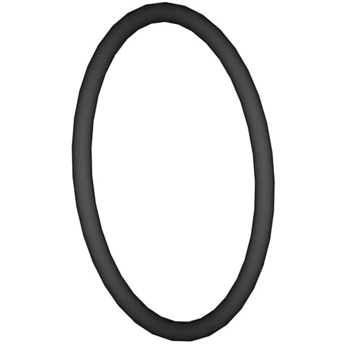 Hayward O-Ring  