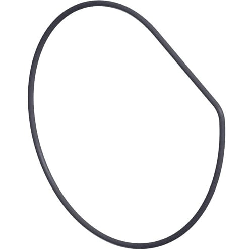 Hayward PowerFlo Housing O-Ring | SPX1580Z1 image 2