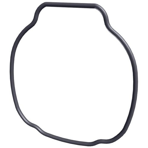 Hayward TriStar & EcoStar Pump Housing O-Ring  
