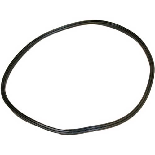 Hayward Pump Strainer Cover T-Seal | SPX4000TS image 4