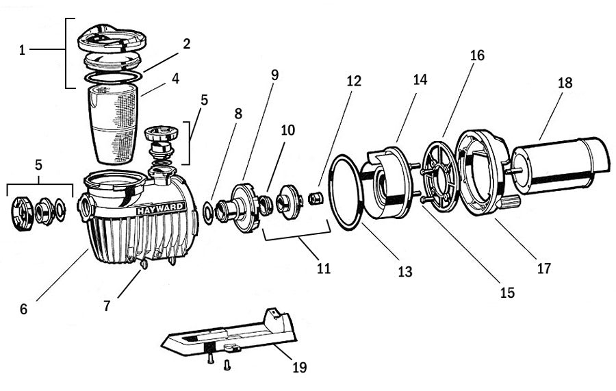 Hayward Pump Diffuser O-Ring | SPX4000Z1 image 2