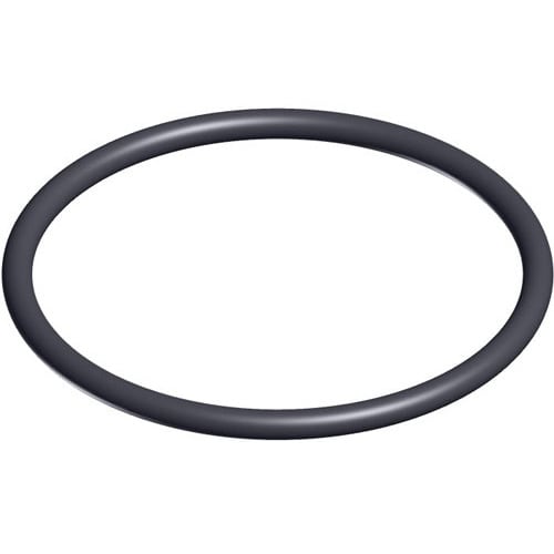 Hayward Valve O-Ring, 2/Pack  