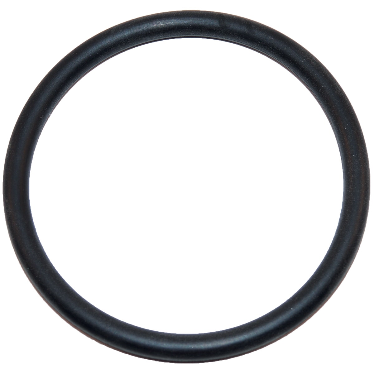 Hayward Large O-Ring  