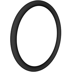 Hayward Pro Series Bulkhead O-Ring  