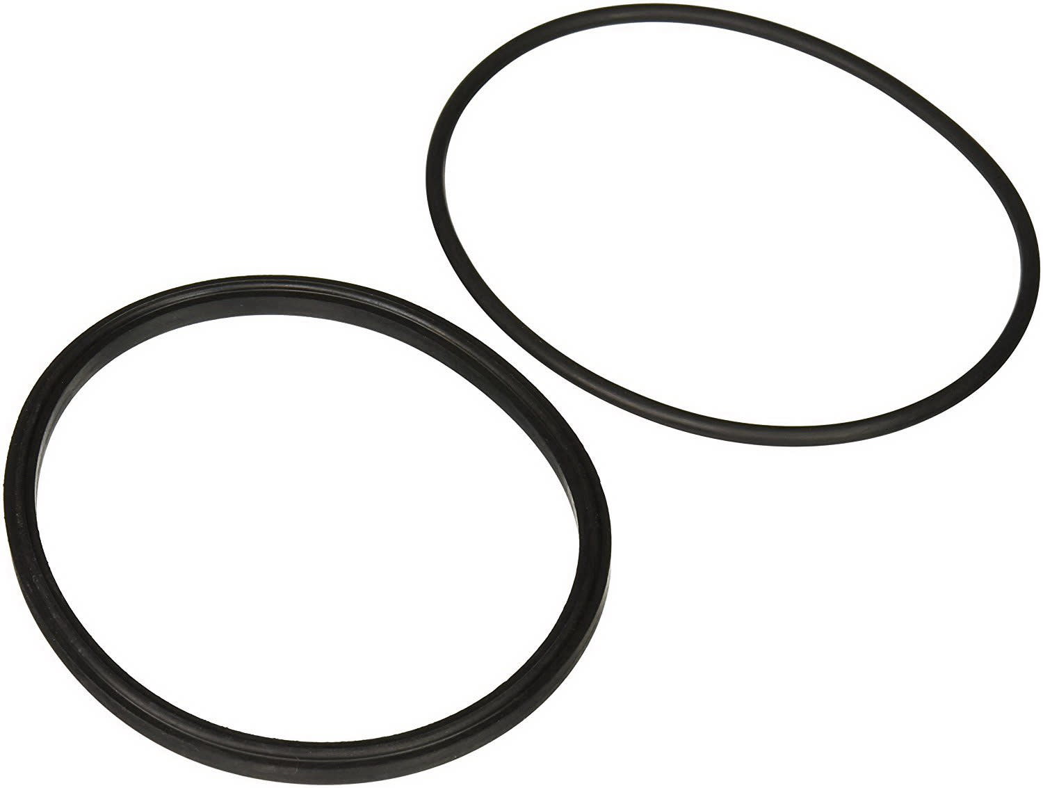 Jandy Pro Series Lid Seal & O-Ring  