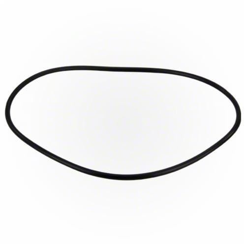Jandy Pro Series FHP Backplate O-Ring  