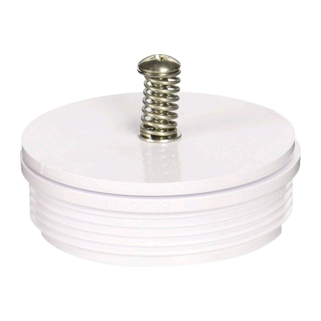 Pentair Check Valve Assembly  