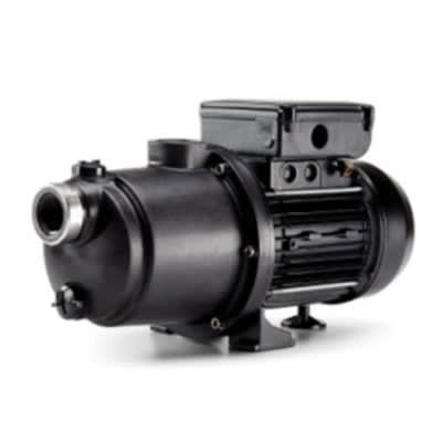 Pentair Pump Booster 5 Stage 115/230V 60Hz image 3