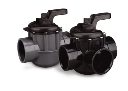 Pentair Valve Check Old Style  