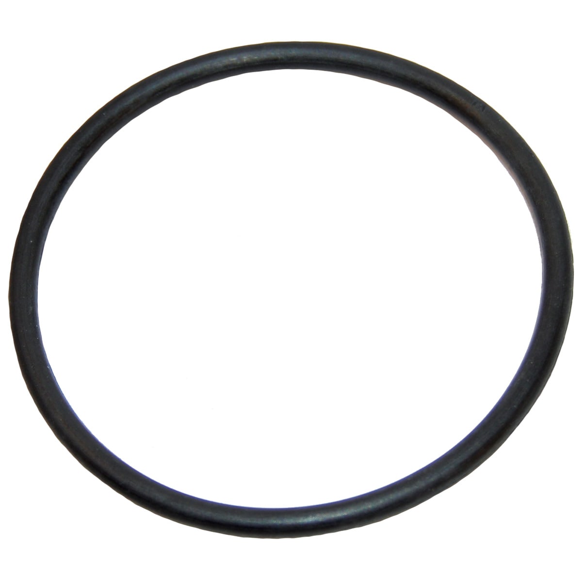Polaris Feed Pipe O-Ring  
