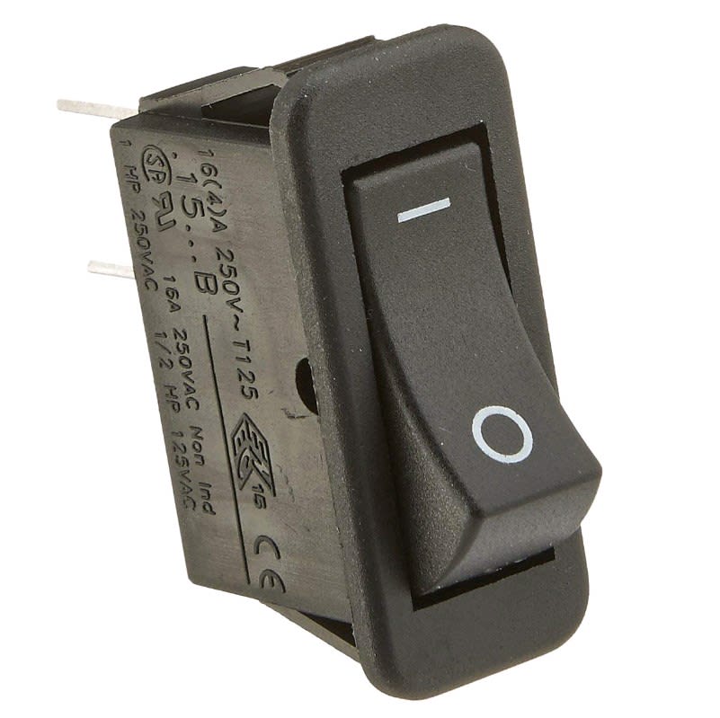 Raypak Heater Rocker Switch  