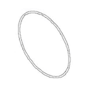 Waterway O-Ring, #261- Volute For | 805-0261