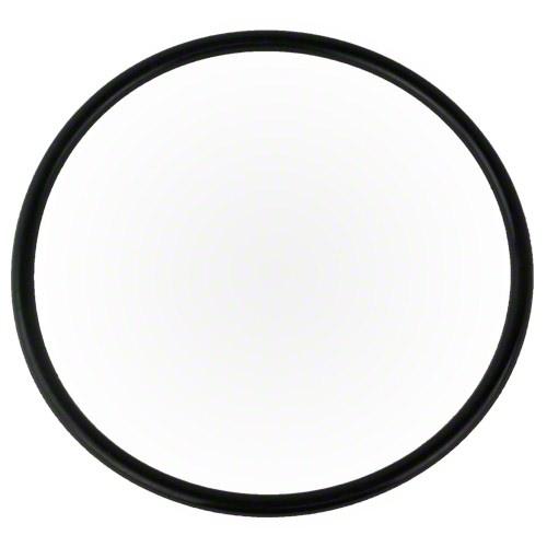 Waterway 6" Pump Trap Lid O-Ring | 805-0436 image 2