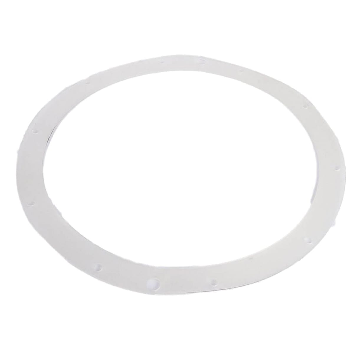 CMP Ig Vinyl Liner Light Ring Seal  