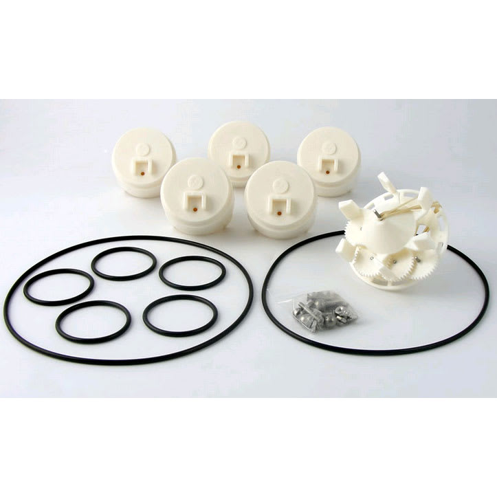 Caretaker 5-Port Water Valve Rebuild Kit  5-9-2001