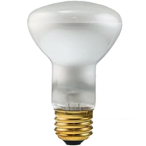 Halco R20Cl100/12V 100W R20 Cl 12V Med Hg 2M Hlc - product image