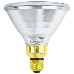 Halco R20Fl100/S - 100R/20 100W/120V Spa Bulb (10/Cs) - product image