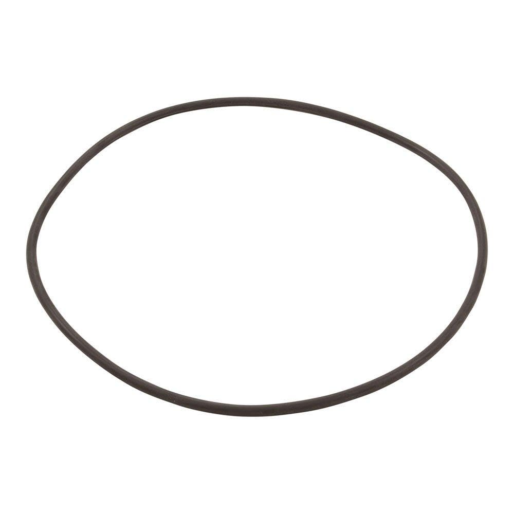 Hayward O-Ring For Filter Head image 2