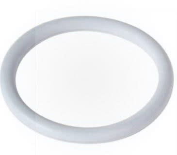Hayward O-Ring  