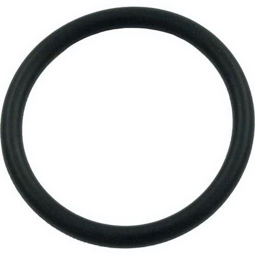 Hayward O-Ring  