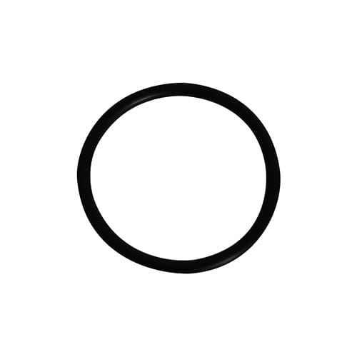 Hayward O-Ring - product image