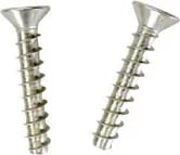Hayward Main Drain Screw Set  