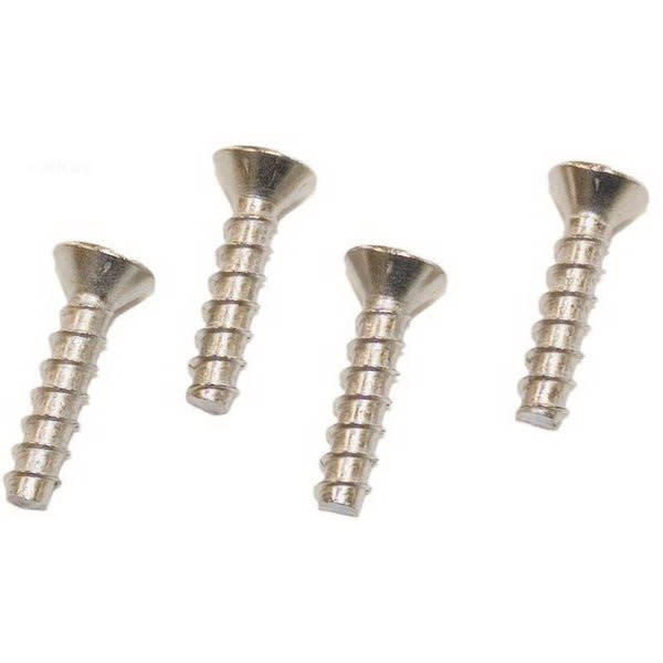 Hayward Screw Set, 4-Pack | SPX1039Z1A image 2