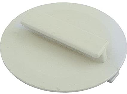 Hayward Plug | SPX1092C - product image