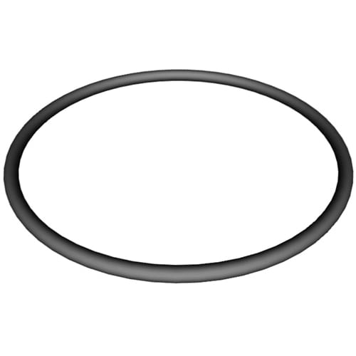 Hayward Super II Pump Strainer Cover O-Ring  