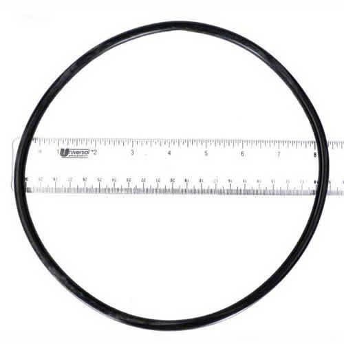 Hayward Northstar Strainer Cover O-Ring | SPX4000S image 2