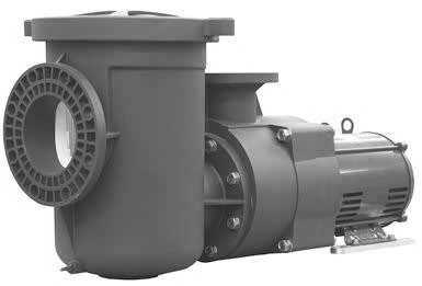 Pentair EQ Series Commercial Plastic Pool Pump, 15 HP, 208-230/460 V, Three Phase, with Strainer  