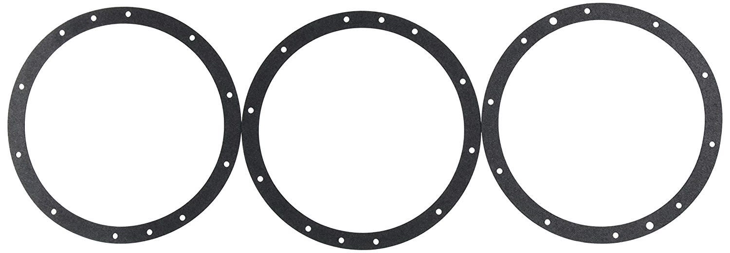 Pentair Gskt Set Lg 10 No Dbl Wl  